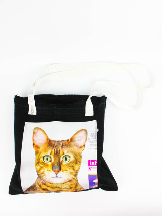 Котошопер від Olha Steblak