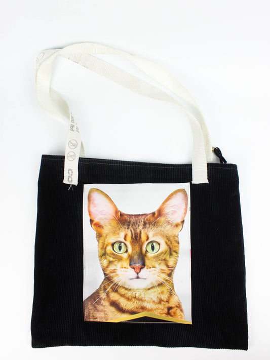 Котошопер від Olha Steblak